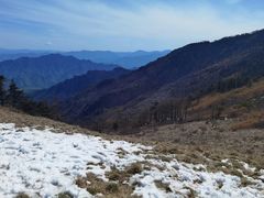 -朱雀国家森林公园