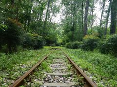 -合肥滨湖国家森林公园