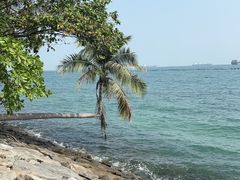 -巴拉湾海滩