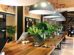 -新加坡瑞士史丹福酒店