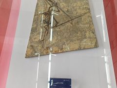 -湖南省地质博物馆