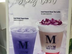 -Lady M(沙田新城市广场店)