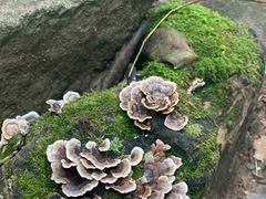 -藏龙百瀑风景区