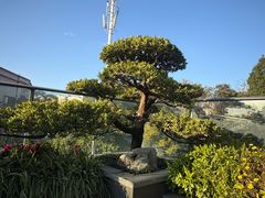 -外滩·云南人家(昆明旗舰店)