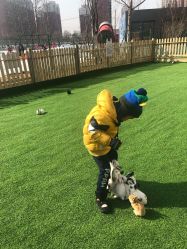 -萌宠亲子动物乐园(槐房万达店)