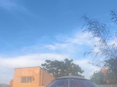 -羊门客在·烤盐池滩羊·川菜