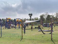 -上海长兴岛郊野公园