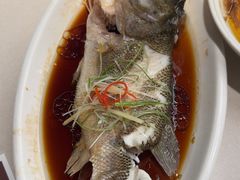 -永旺梦乐城(金银潭店)