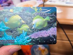 -上海海洋水族馆
