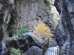 景点-小五台金河景区
