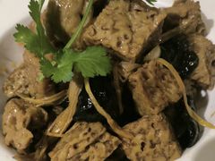 -高老庄绿色传奇(昊元生活广场店)