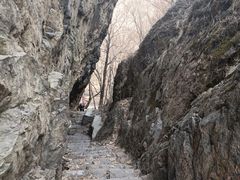 -香炉山国家森林公园