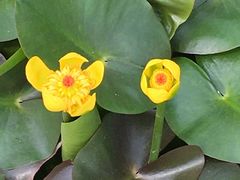 -华南国家植物园-售票处