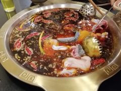 红汤锅底-1718花椒鱼自助火锅(合川杨柳街二店)