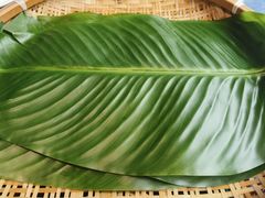 -甘家界牌柠檬鸭(青山店)