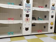 -秀猫阁·猫咪花园(万达店)