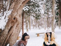 -北海道神宫