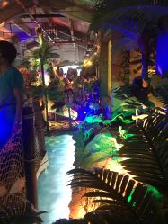 -恐龙探索乐园(磁器口店)