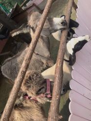 -童心园麦窑·儿童拓展探宝乐园