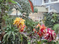 -正佳雨林生态植物园