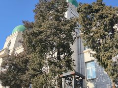 -中国伊斯兰教经学院