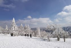-大秃顶子山