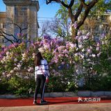 世间真正温煦的春色，潜伏在山谷