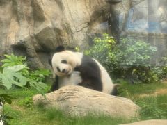 -香港海洋公园