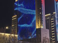 -电谷雅阁国际大酒店