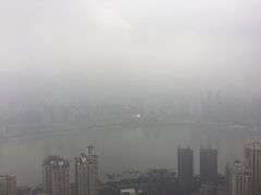 -解放碑威斯汀酒店-知味国际美食餐厅