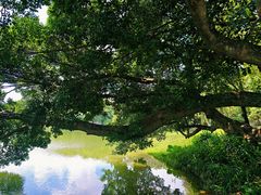 -畔山酒店中餐厅