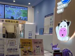 -一只酸奶牛(春熙路店)