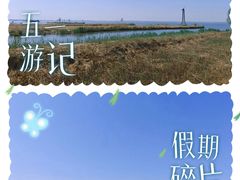 -哈素海