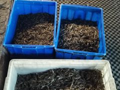 河虾-正宗天津烧麦馆(柳州路店)