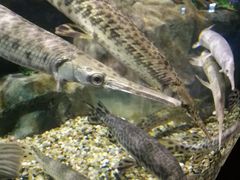 -石林冰雪海洋世界