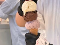 -红楼HONGLOU Gelato(淮海中路店)