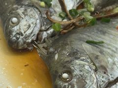 -沙田台山海鲜·酣客酒窖