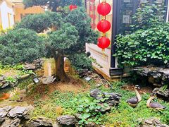 -北园酒家(小北路店)
