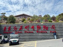 -青藏高原野生动物园