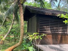 -东寨港红树林旅游区