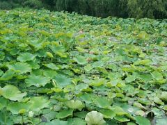 -宋记冕宁土菜馆(海门渔村二店)