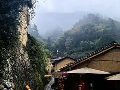 -杨家堂村