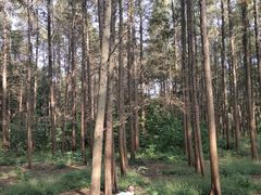 -同里国家湿地公园