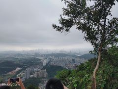 -梧桐山风景名胜区