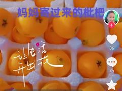 -约翰·菲茨杰拉德·肯尼迪国际机场