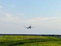 -空港花田景区