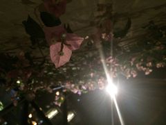 巴别塔法国餐舍&酒吧-巴别塔法餐舍(朝阳店)