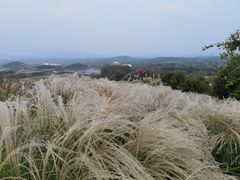 -密云玫瑰情园