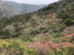 -木兰云雾山