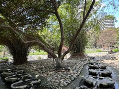 -成都市活水公园